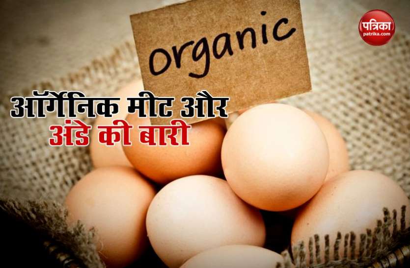 organic eggs Organic Meat और Eggs उत्पादन से दोगुनी हो सकती है Income, सरकार भी देगी मदद