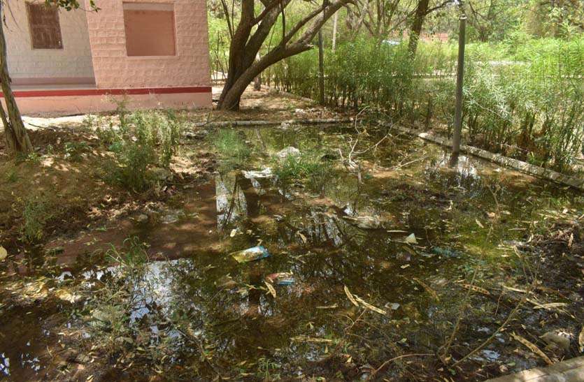 जनता तक जल पहुंचाने वाले महकमे में ही जल जमाव, बन गया बड़ा तालाब जनता तक जल पहुंचाने वाले महकमे में ही जल जमाव, बन गया बड़ा तालाब