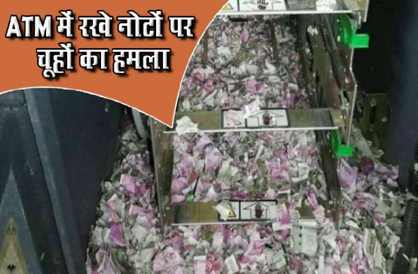 atm1.jpg ATM में रखें 12 लाख रुपए के नोट कुतर गए चूहे, वायरल हुईं तस्वीरें तो सामने आई हकीकत