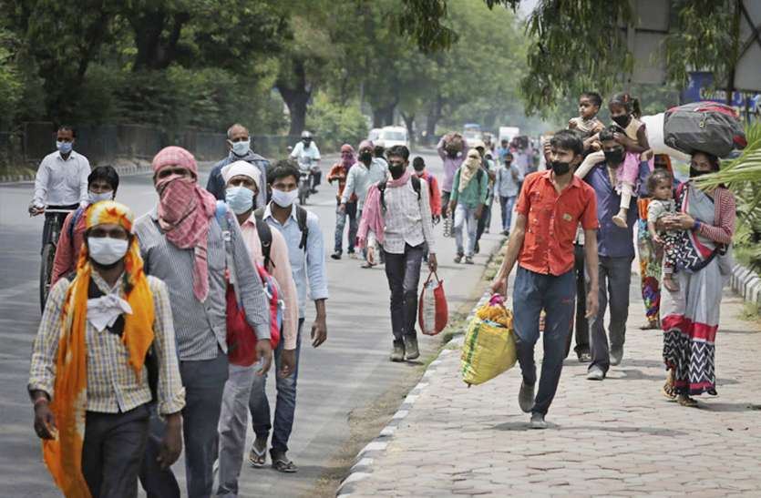 rojgar कोरोना काल से निकल रहा यह क्षेत्र, यहां मिलेगा हजारों को रोजगार