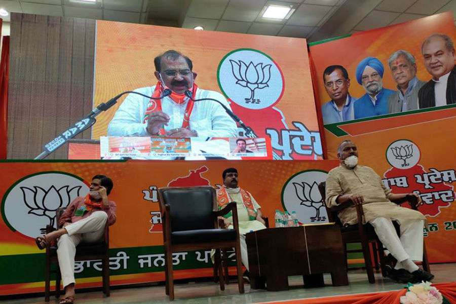 BJP Punjab virtual rally