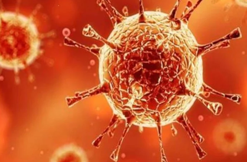 Coronavirus दिल्ली से सटे गुरुग्राम के आठ वार्ड में आज से सख्ती, आवाजाही बंद, घर-घर होगी स्क्रीनिंग