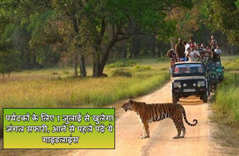 पर्यटकों के लिए 1 जुलाई से खुलेगा जंगल सफारी, आने से पहले पढ़ें ये गाइडलाइंस पर्यटकों के लिए 1 जुलाई से खुलेगा जंगल सफारी, आने से पहले पढ़ें ये गाइडलाइंस