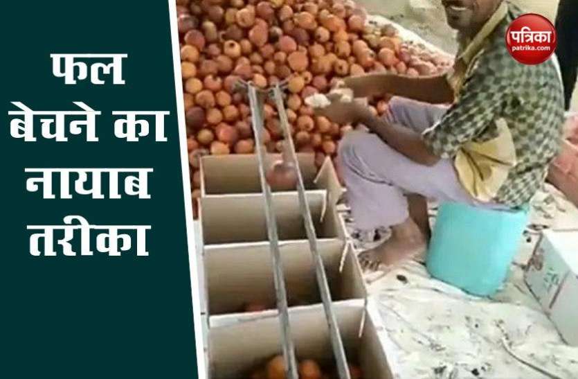 man_found_a_unique_way_of_selling_fruits_according_to_their_size.jpg शख्स ने फल बेचने का निकाला नायाब तरीका, लोग बोले- 'वाह क्या जुगाड़ है', देखे Video