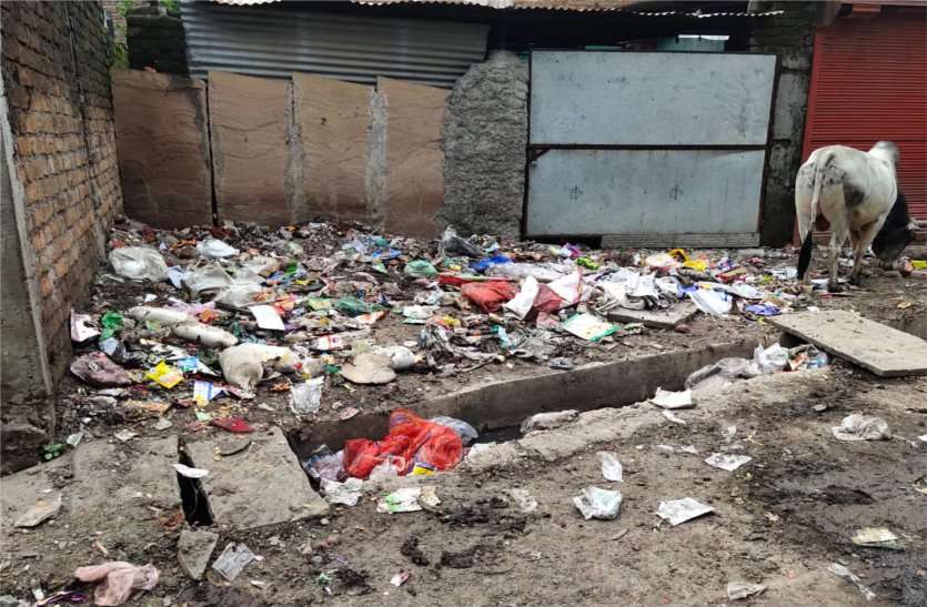 Garbage vehicles closed for two months दो माह से कचरा गाड़ियां बंद, जगह-जगह लग रहे कचरे के ढेर, नपा नहीं कर रही कोई व्यवस्था