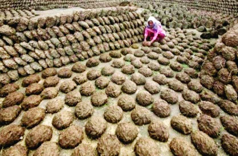गोबर दे बछरू-गोबर दे, चारों खूट ल लीपन दे गोबर दे बछरू-गोबर दे, चारों खूट ल लीपन दे