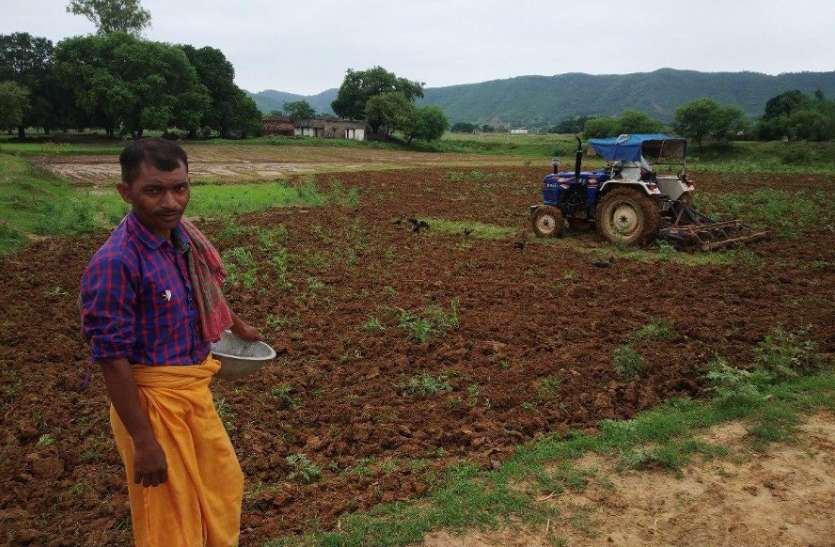 agriculture dept increase cultivation fallow land in Singrauli वर्षों से पड़त पड़ी जमीन पर लहलहाएगी खेती, बढ़ेगा बोवनी का रकवा
