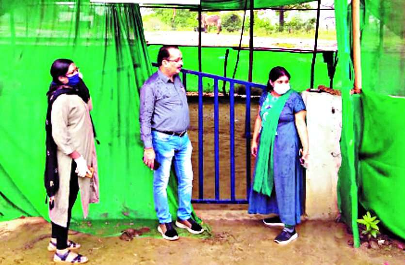 Cattle found on the roads will be kept in Kanji hause of Lalpur including cow sheds run by cow lovers youth ... गौ प्रेमी युवाओं द्वारा संचालित गौशाला सहित लालपुर के कांजी हाऊस में रखे जाएंगे सड़कों पर मिले मवेशी ...