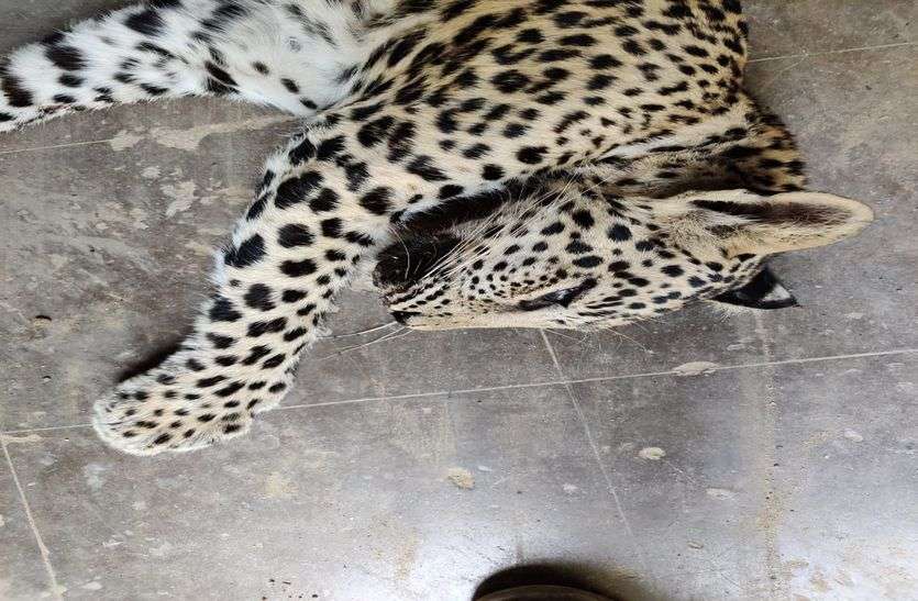 उसे देखा तो रुक गए कदम, थम गई सांस... उसे देखा तो रुक गए कदम, थम गई सांस...