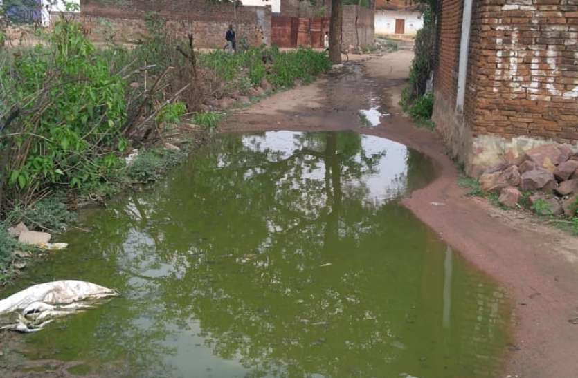 In this session, 4 people suffering from malaria शहर की कॉलोनियों और गांव में भरा गंदा पानी