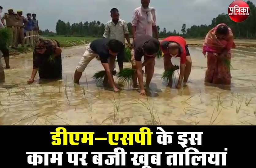 जब खेत में घुस कर डीएम और एसपी करने लगे धान की रोपाई, वजह पता लगी तो लोगों को मजा आ गया जब खेत में घुस कर डीएम और एसपी करने लगे धान की रोपाई, वजह पता लगी तो लोगों को मजा आ गया