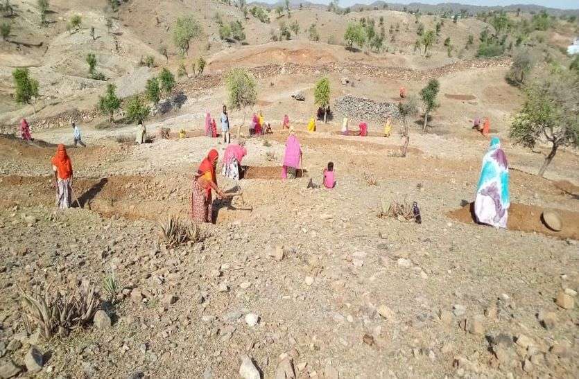 एक साल में बढ़े दोगुना श्रमिक, 25 हजार श्रमिक कर रहे काम एक साल में बढ़े दोगुना श्रमिक, 25 हजार श्रमिक कर रहे काम