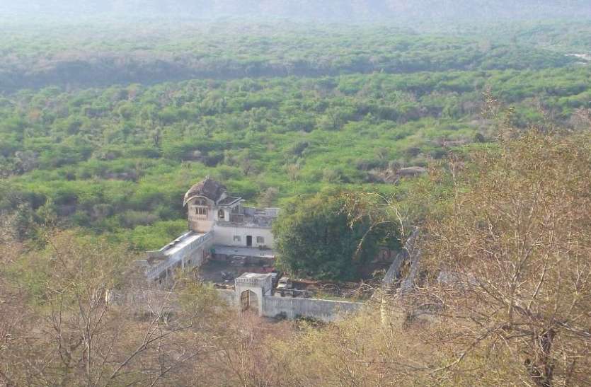 बूंदी के रामगढ़ विषधारी अभयारण्य में आया बाघ, वन अधिकारियों ने बढ़ाई चौकसी बूंदी के रामगढ़ विषधारी अभयारण्य में आया बाघ, वन अधिकारियों ने बढ़ाई चौकसी