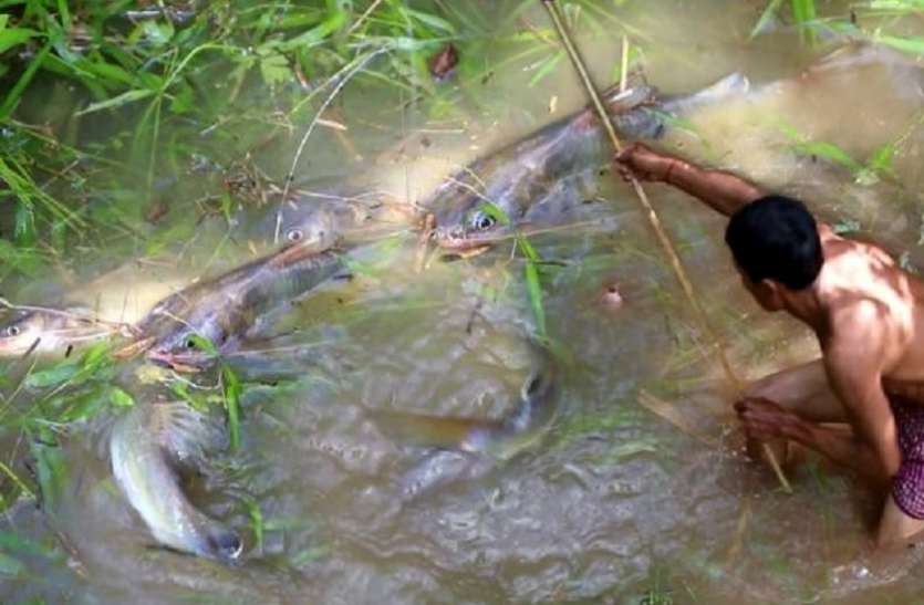मछली मारता युवक (प्रतीकात्मक फोटो) अब अगर मछली मारी तो खैर नहीं, लगेगा भारी जुर्माना होगी जेल
