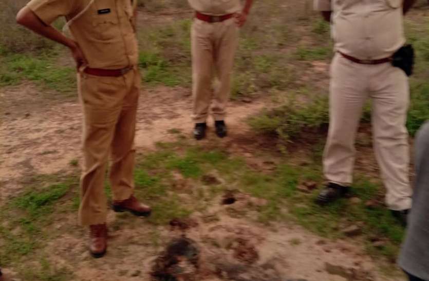 पेंथर का मूवमेंट: लापता चरवाहे की तलाश में पुलिस ने खंगाला जंगल लापता चरवाहे की तलाश में पुलिस ने खंगाला जंगल