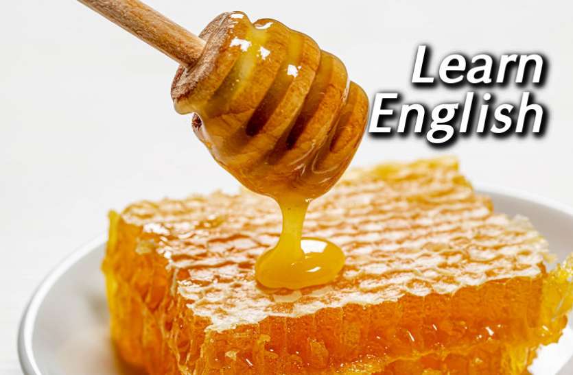 english, Education, learn english, education news in hindi, toefl, education tips in hindi, how to learn english, Learn English: