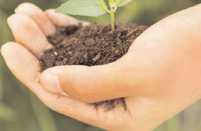 पंचायतों में वृक्षारोपण वार्षिकोत्सव 15 को पंचायतों में वृक्षारोपण वार्षिकोत्सव 15 को