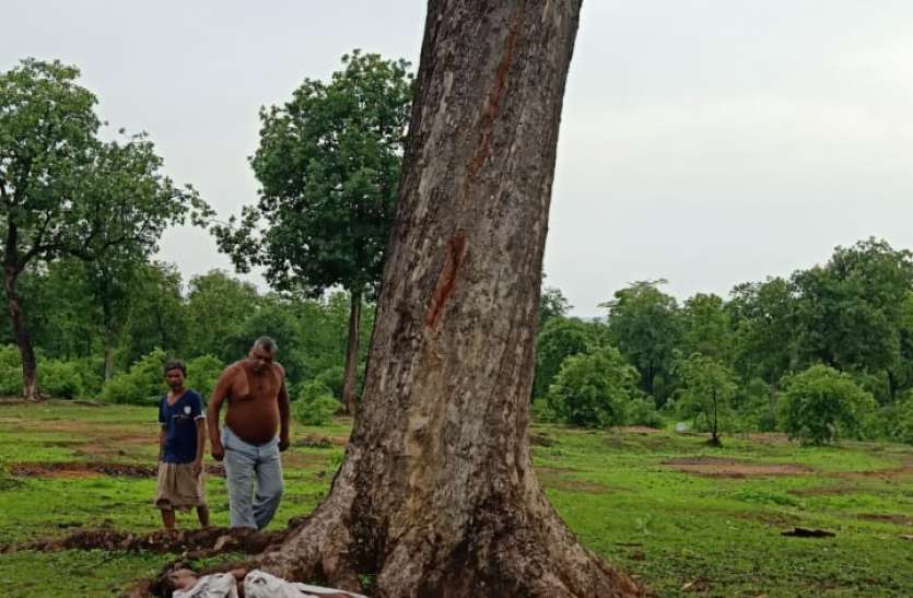 आगे चल रहा भतीजा सुरक्षित खेत से घर लौट रहे किसान की बिजली गिरने से मौत