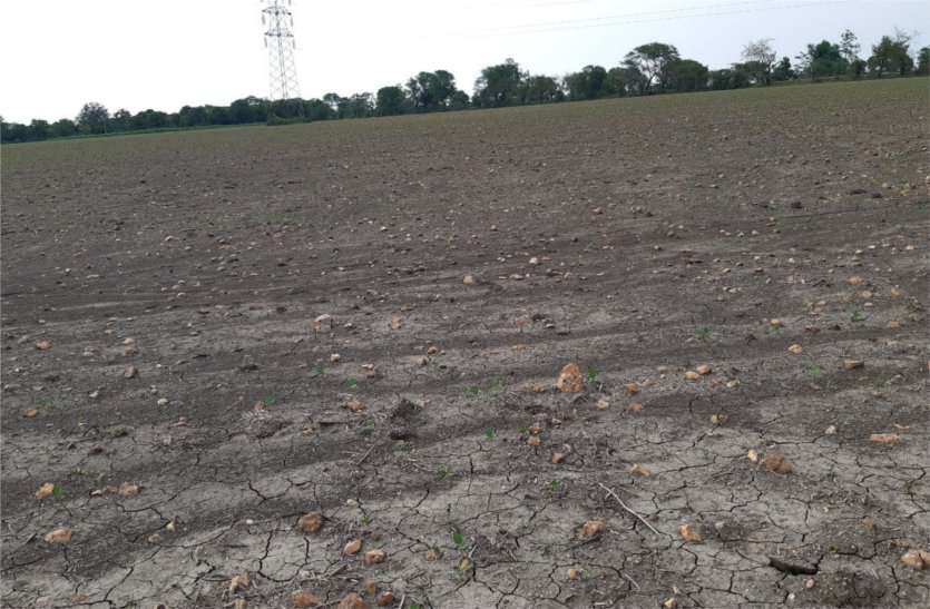 Water fell as sow, seed buried in soil बोवनी करते ही गिर गया पानी, मिट्टी में ही दब गया बीज, फिर करनी पड़ेगी बोवनी