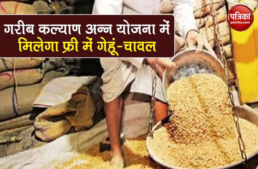 what is PM Garib Kalyan Ann Yojana 2020 benefit of free 5kg grains PM Garib Kalyan Ann Yojana: क्या है PM गरीब कल्याण अन्न योजना? जानें कैसे मिलेगा फ्री में गेहूं/चावल