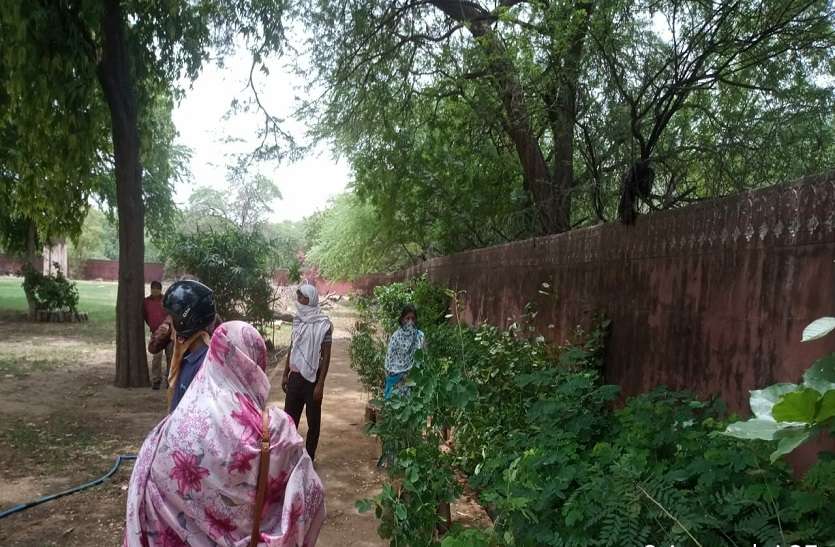 जेडीए ने पहले दिन बांटे 39 हजार पौधे Jaipur : जेडीए ने पहले दिन बांटे 39 हजार पौधे
