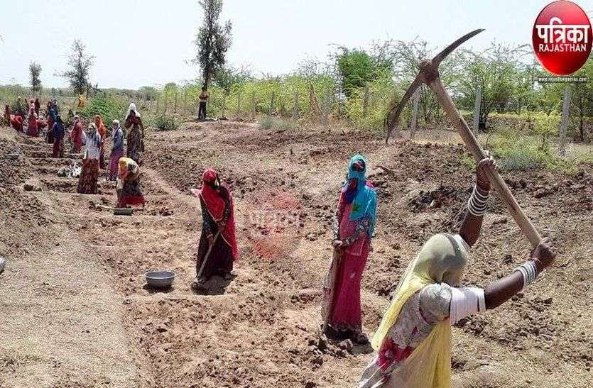 उपलब्धि : महिला मेट के मामले में सुमेरपुर जिले में अव्वल उपलब्धि : महिला मेट के मामले में सुमेरपुर जिले में अव्वल
