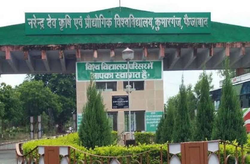 एमडी यूनिवर्सिटी में फर्जीवाड़े का खुलासा कुलपति सहित चार पर कार्यवाही एन डी यूनिवर्सिटी में फर्जीवाड़े का खुलासा कुलपति सहित चार पर कार्यवाही