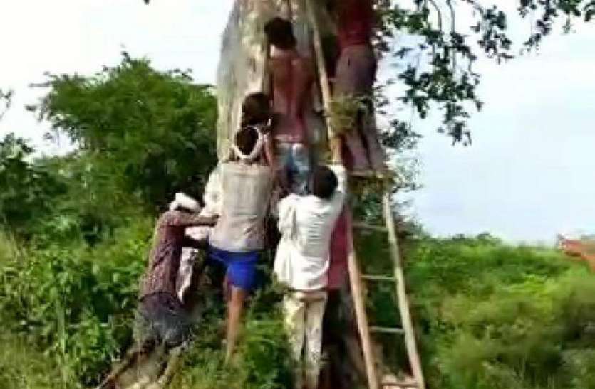पेड़ पर फंदा लगाकर की आत्महत्या प्रेमी युगल साथ जी न सके तो लगा लिया फंदा