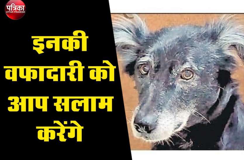 वफादारी का अनुपम उदाहरण : मालिक का शव देख चौथी मंजिल से कूद गई, दूसरे ने अपने मलिक के मर्डर की खबर रिश्तेदारों तक इस ढंग से पहुंचाई वफादारी का अनुपम उदाहरण : मालिक का शव देख चौथी मंजिल से कूद गई, दूसरे ने अपने मलिक के मर्डर की खबर रिश्तेदारों तक इस ढंग से पहुंचाई