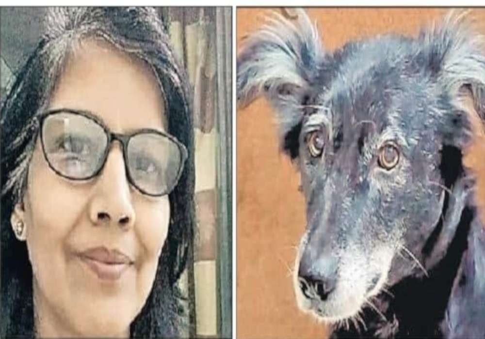 वफादारी का अनुपम उदाहरण : मालिक का शव देख चौथी मंजिल से कूद गई, दूसरे ने अपने मलिक के मर्डर की खबर रिश्तेदारों तक इस ढंग से पहुंचाई