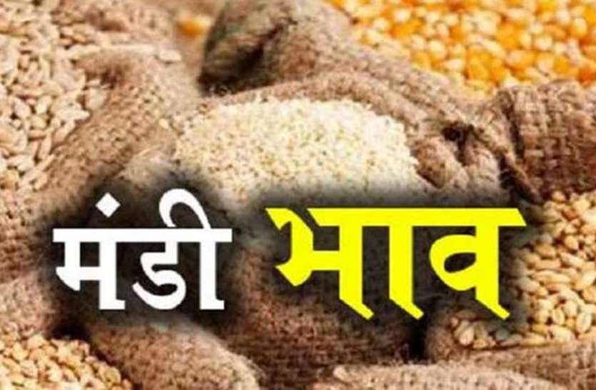 कृषि जिंसों सहित किराना व सर्राफा बाजार भाव कोटा मंडी भाव 2 जुलाई: गेहूं, धनिया में मंदी, सोयाबीन व सरसों में तेजी रही