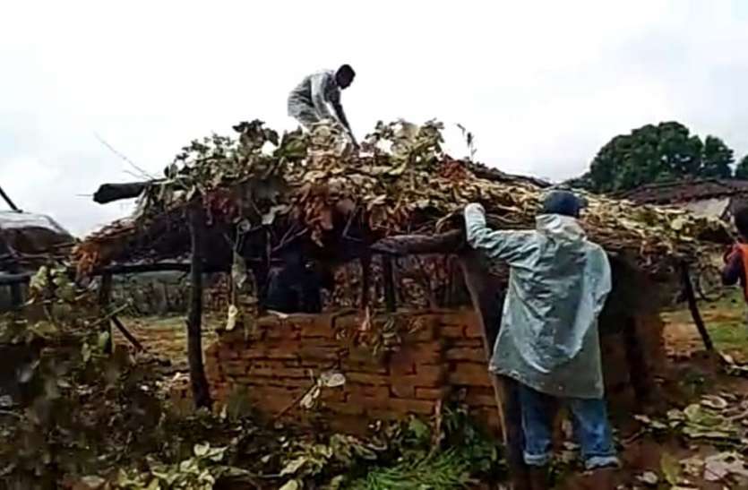 बाघो के गढ़ में कर लिया था कब्जा, बीटीआर प्रबंधन ने हटाया बाघो के गढ़ में कर लिया था कब्जा, बीटीआर प्रबंधन ने हटाया