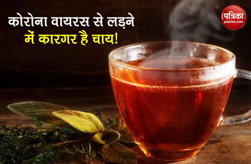 coronavirus tea harad can fight with covid-19 claims iit delhi study Coronavirus: चाय के साथ लेंगे हरड़ तो कोरोना होगा दूर? शोध में हुआ खुलासा