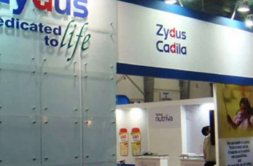 zydus.jpg Corona Vaccine बनाने जा रही Zydus Cadila के Shares में जबरदस्त उछाल, कमाई का बड़ा मौका