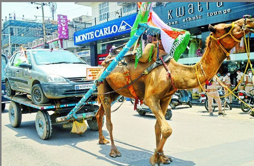 पेट्रोल-डीजल के बढ़ते दामों से फूटा गुस्सा कोटा में पेट्रोल-डीजल के बढ़ते दामों से फूटा गुस्सा, ऊंट लेकर चला कार...