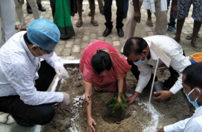 संतुलित पर्यावरण के लिए पृथ्वी के कुल क्षेत्रफल का एक तिहाई हिस्सा हरा भरा हो संतुलित पर्यावरण के लिए पृथ्वी के कुल क्षेत्रफल का एक तिहाई हिस्सा हरा भरा हो