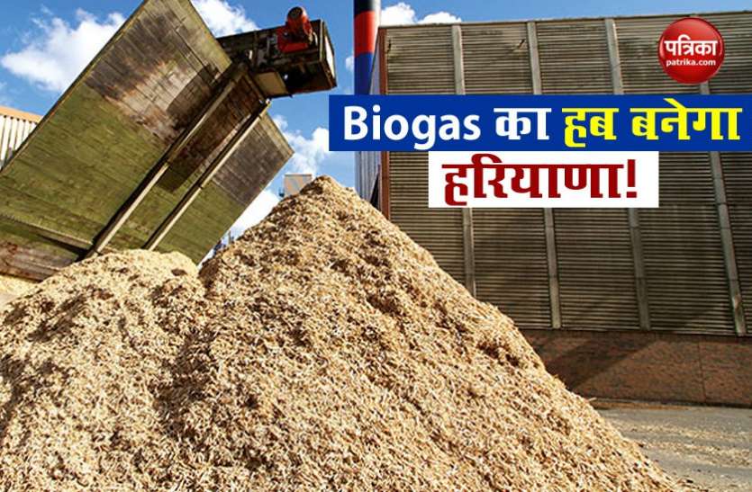 Biogas Plant हरियाणा के हर घर में बनेगा गोबर गैस से खाना, सरकार ने शुरू की योजना