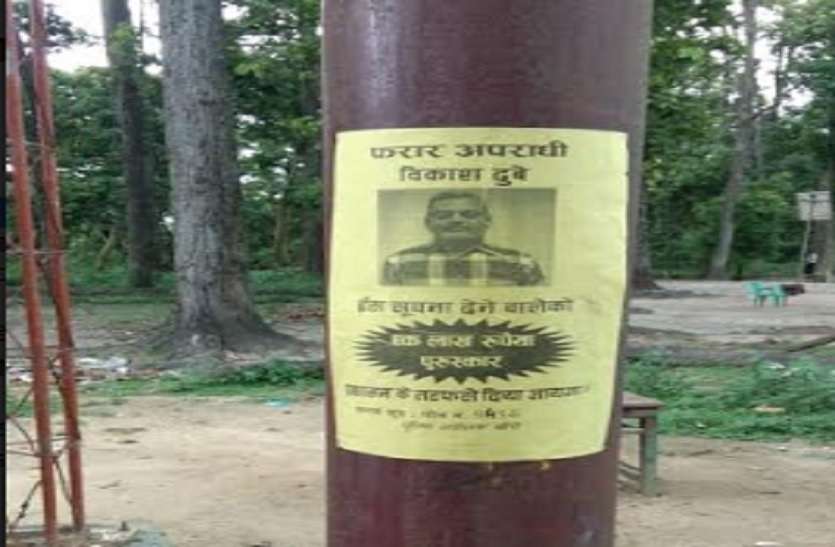 बॉर्डर के चप्पे-चप्पे पर चस्पा की गई विकास दुबे की फोटो, तलाश जारी बॉर्डर के चप्पे-चप्पे पर चस्पा की गई विकास दुबे की फोटो, तलाश जारी