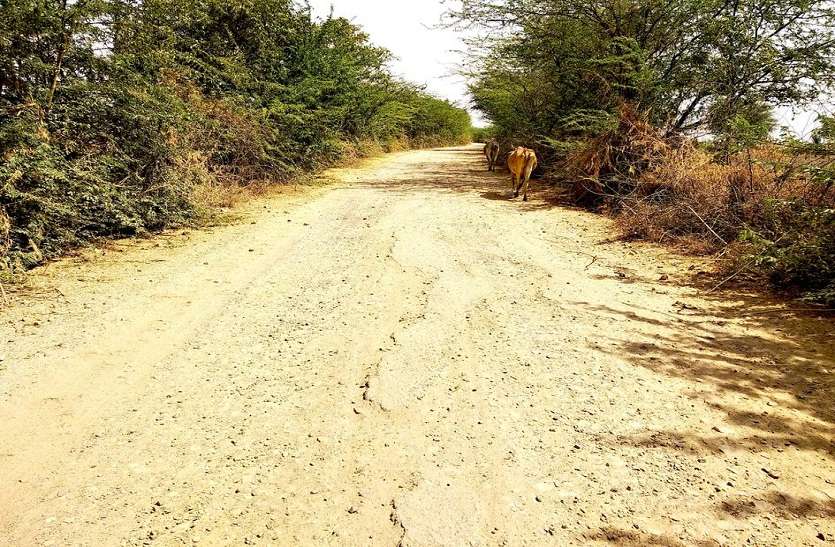 जर्जर सडक़ पर चलना मुश्किल जर्जर सडक़ पर चलना मुश्किल