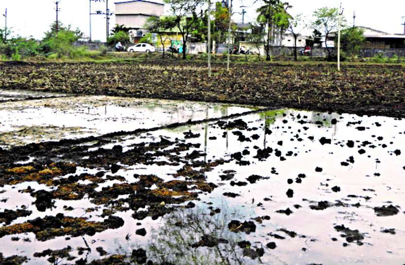 Changes in weather: On the first day of Sawan, Manpur received 32.3 mm of rain ... मौसम में बदलाव: सावन के पहले दिन, मानपुर में हुई सर्वाधिक 32.3 मिमी बारिश ...