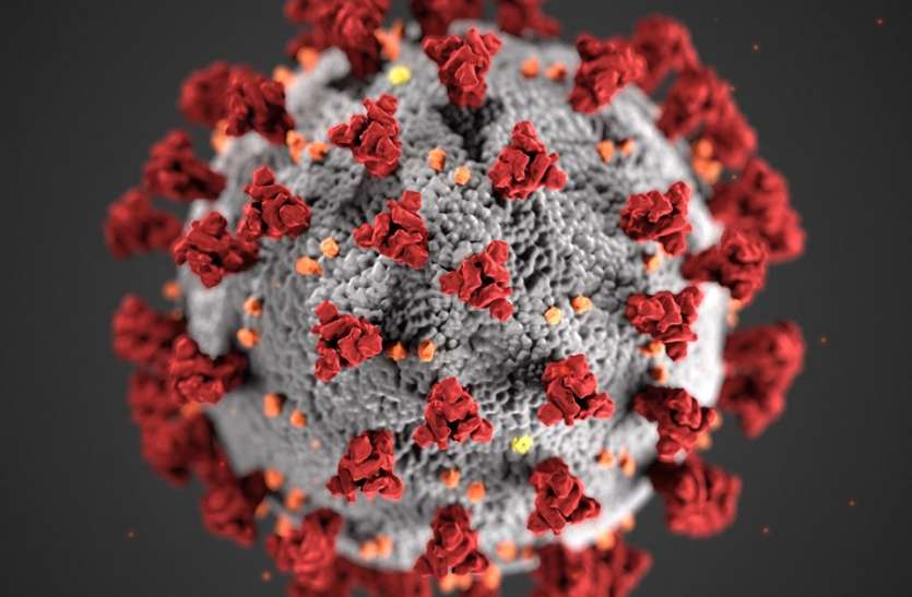 Rise in coronavirus cases कोरोना से पांच सप्ताह के दौरान 822 फीसदी अधिक मौतें