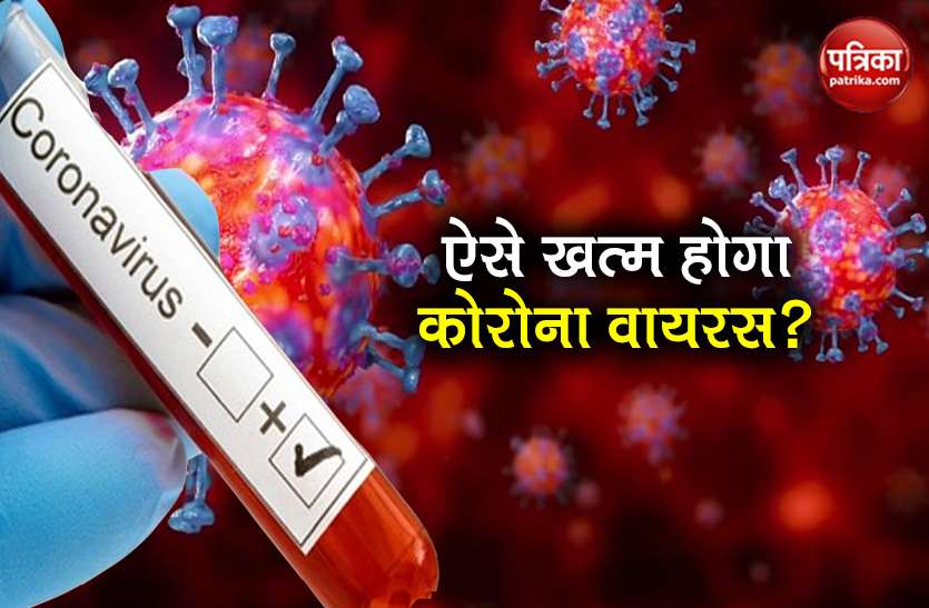 Coronavirus will end by itself no need to covid-19 vaccine scientist Coronavirus: खुद ही खत्म हो जाएगा कोरोना वायरस, वैक्सीन की जरूरत नहीं: वैज्ञानिक