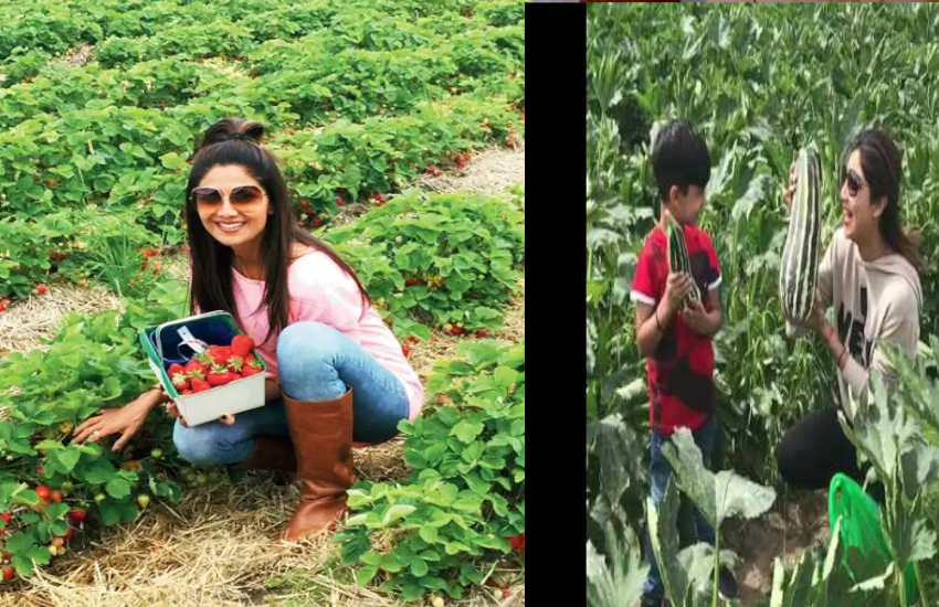 लॉकडाउन में Shilpa Shetty और राज कुंद्रा का हो गया ऐसा हाल, पहचानना हुआ मुश्किल