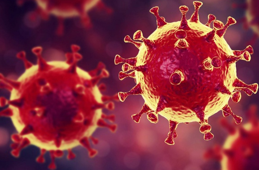 मौत के बाद Coronavirus पॉजिटिव होने का पता चला, परिवार के सदस्य भी आए चपेट में, इलाके में दहशत मौत के बाद Coronavirus पॉजिटिव होने का पता चला, परिवार के सदस्य भी आए चपेट में, इलाके में दहशत