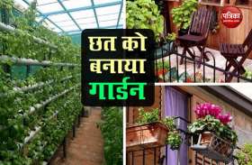 महिला ने छत को बनाया Garden, बिना मिट्टी के उगाती हैं फल और सब्जियां, देखें Photos