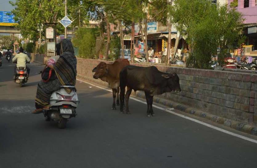 corona_in_rajasthan_today.jpg राजस्थान में कोरोना के कहर के बीच आई राहतभरी खबर