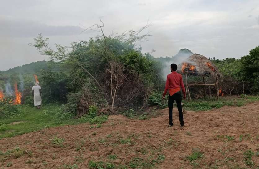 Forest land now under lockout लॉकडाउन में अब वन भूमि पर गड़ाई नजर