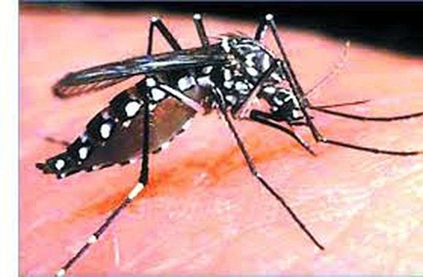 Dengue थमने का नाम नहीं ले रहा डेंगू, वायरल-डायरिया का भी हो रहा अटैक