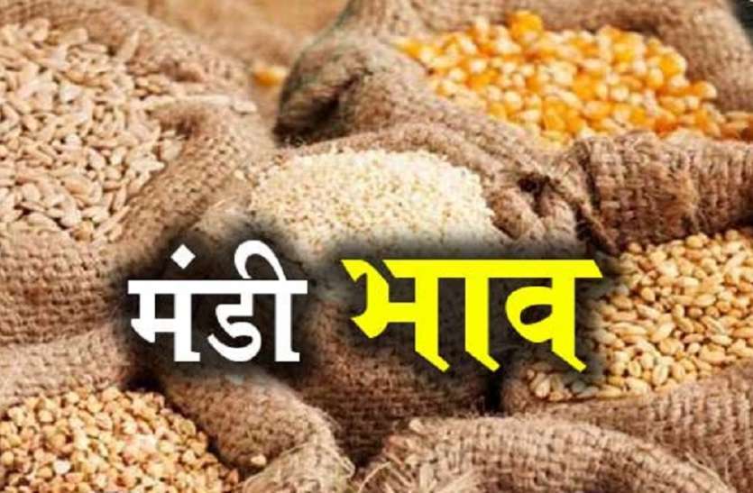 mandi-bhav-8_6234504_835x547-m.jpg मंडी अपडेट- खाद्य जिंसों के थोक बाजार भाव