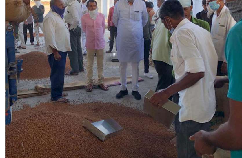 चौकड़ी सोसायटी ने चना खरीदी में ढाई करोड़ के बना दिए थे फर्जी बिल चौकड़ी सोसायटी ने चना खरीदी में ढाई करोड़ के बना दिए थे फर्जी बिल